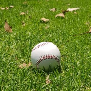 TL 015 KOUFAX